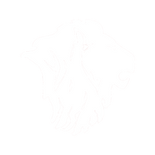 Grapevine-Faith-Lions-large.png white.png